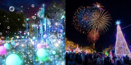 全国イルミネーション人気ランキングTop 10！東京・京都・大阪・兵庫・千葉・福岡ほか冬の絶景夜景を観にいこう！2025-2026年最新