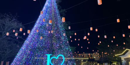 中部イルミネーション人気ランキングTop 10！ 愛知・岐阜・静岡で冬の夜を彩るデートに！ 2025-2026年最新