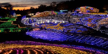 中国・四国のイルミネーション人気ランキングTop 10！ 広島・岡山・香川のクリスマスツリーや花火、雪像ライトアップ！ 2025-2026年最新