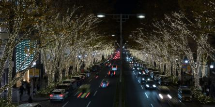 表参道・原宿のイルミネーション特集2025-2026｜クリスマスにもおすすめ
