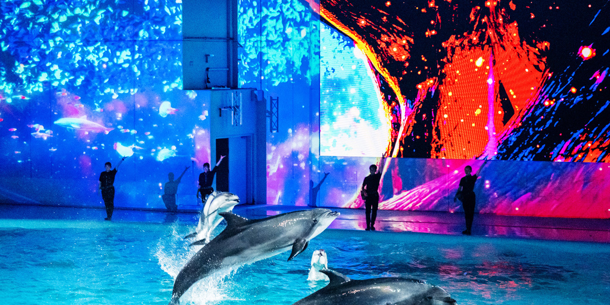 横浜駅・みなとみらいのイルミネーション人気スポット特集2025-2026｜冬デート・クリスマスのお出かけに♬