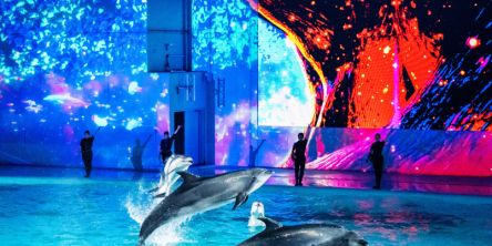 横浜駅・みなとみらいのイルミネーション人気スポット特集2025-2026｜冬デート・クリスマスのお出かけに♬