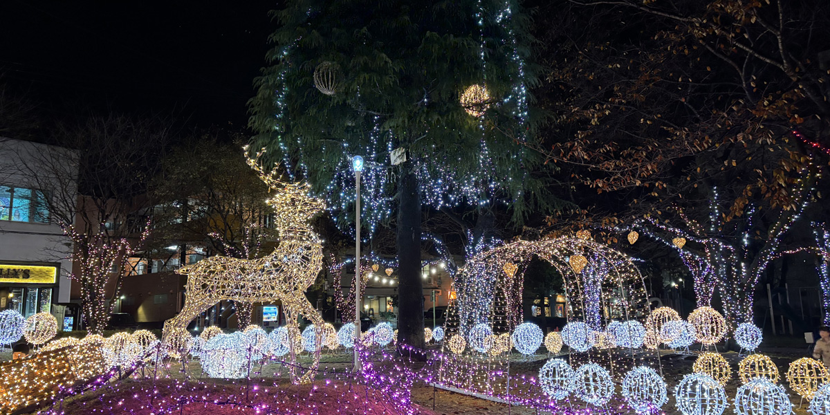青森県のおすすめイルミネーション＆雪まつりのライトアップ（2025-2026）