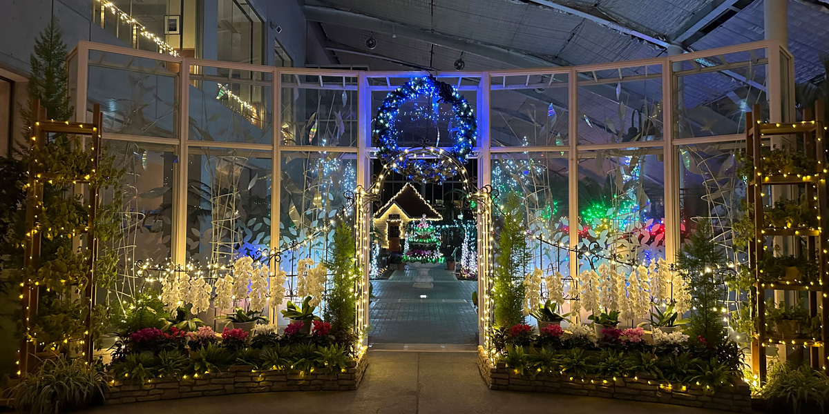 山梨県のおすすめイルミネーション（2025-2026）クリスマスや冬デートに！