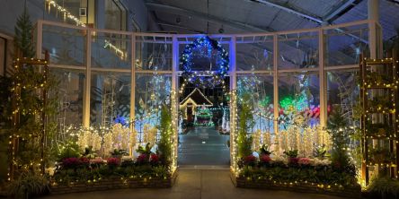 山梨県のおすすめイルミネーション（2025-2026）クリスマスや冬デートに！