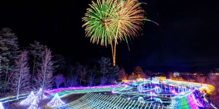 長野県のおすすめイルミネーション（2025-2026）軽井沢、佐久など