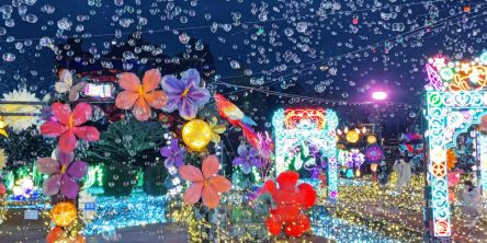 静岡県のおすすめイルミネーション（2025-2026）御殿場、伊豆高原など