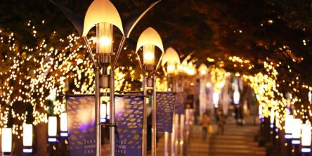 神戸、三木ほか、兵庫県のおすすめイルミネーション（2025-2026）