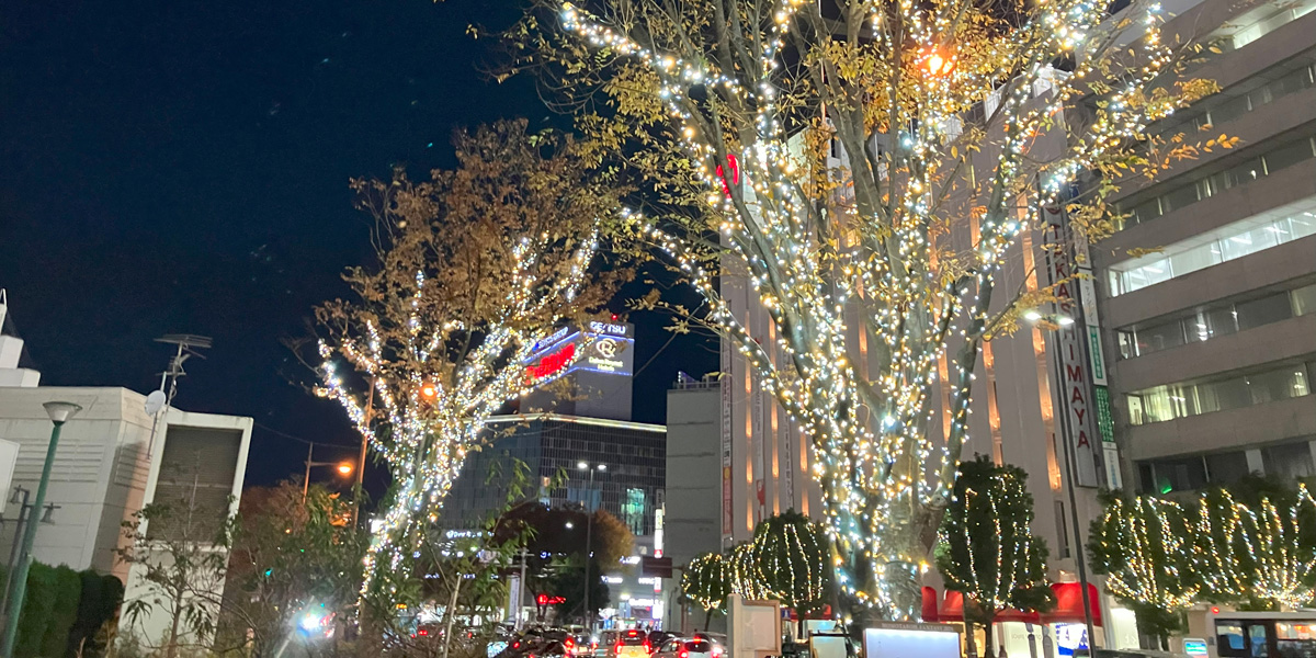 岡山県のおすすめイルミネーション（2025-2026）クリスマスや冬デートに！