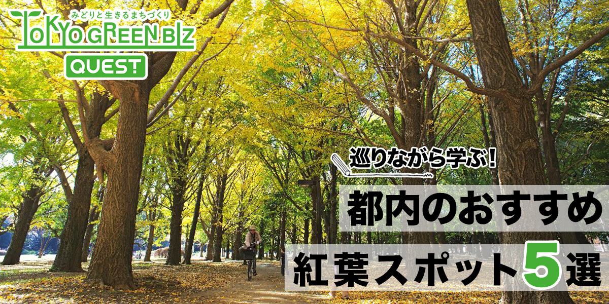 今年の秋は「巡りながら学べる」がトレンド！ ひと味違う秋さんぽを楽しむ都内の紅葉スポットを紹介