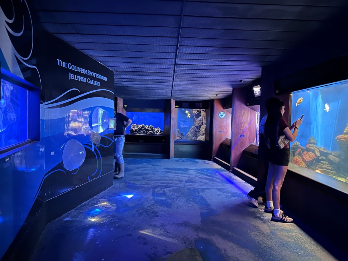 ワイキキ水族館