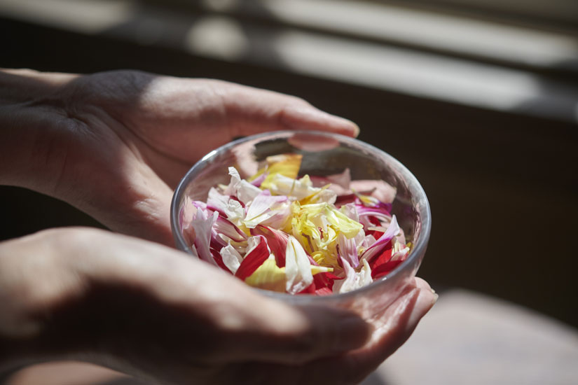 Moreエディブルフラワー880円で可憐な一皿を演出