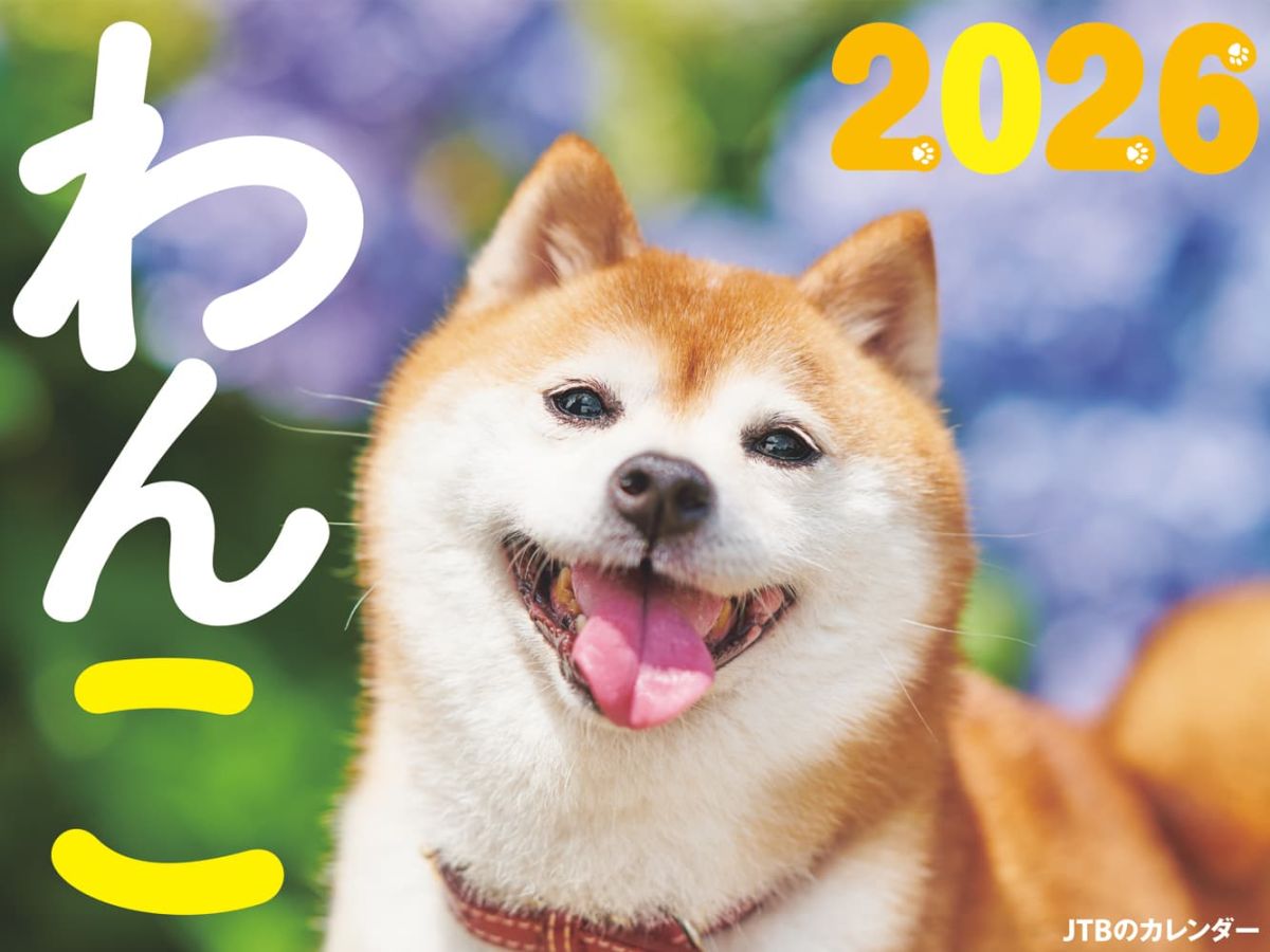 「わんこ 2026」1430円