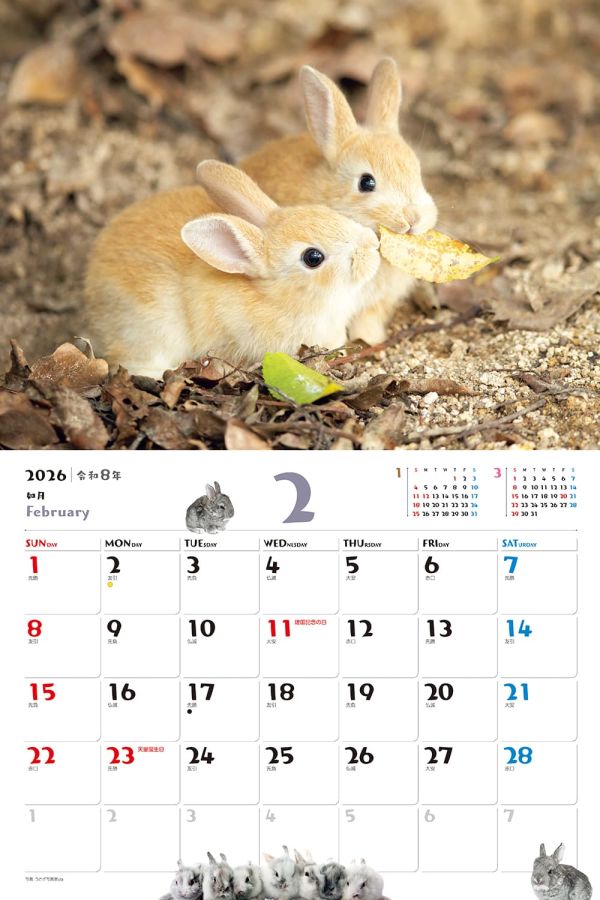 ふわふわうさぎ 2月