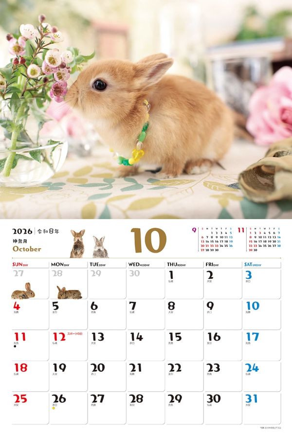 ふわふわうさぎ 10月