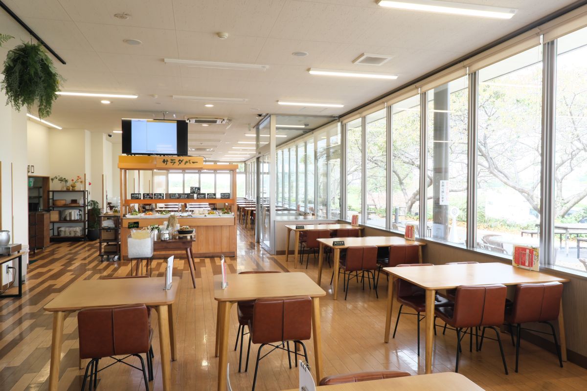 窓からたっぷりの光が注ぎ込む明るい店内