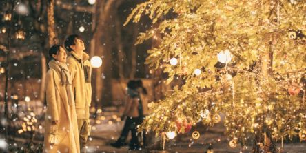 「軽井沢高原教会」のクリスマスイベント「星降る森のクリスマス」2025年11月30日（日）から開催