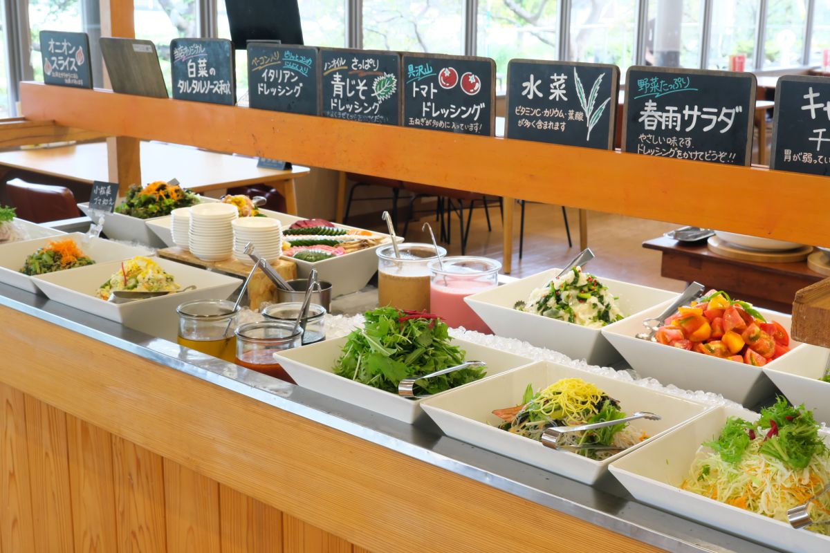 色とりどりの野菜が並ぶサラダバー