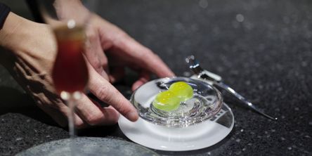 【大阪・四ツ橋】コーヒー×ホタテ⁈ 「MEL COFFEE」で、コース仕立ての特別なコーヒー体験を。2025年7月オープン