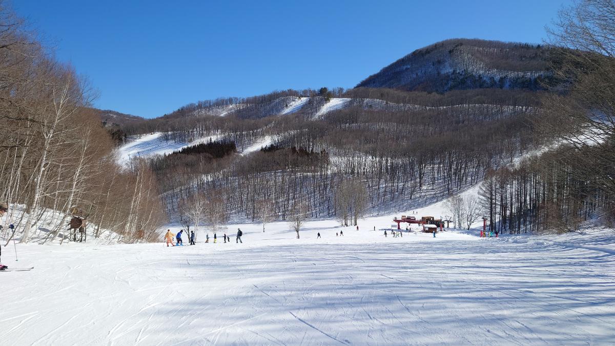 ゲレンデの下部まで雪質がよくすべりやすい