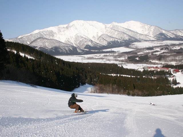 ロマンスフィールドと禿岳