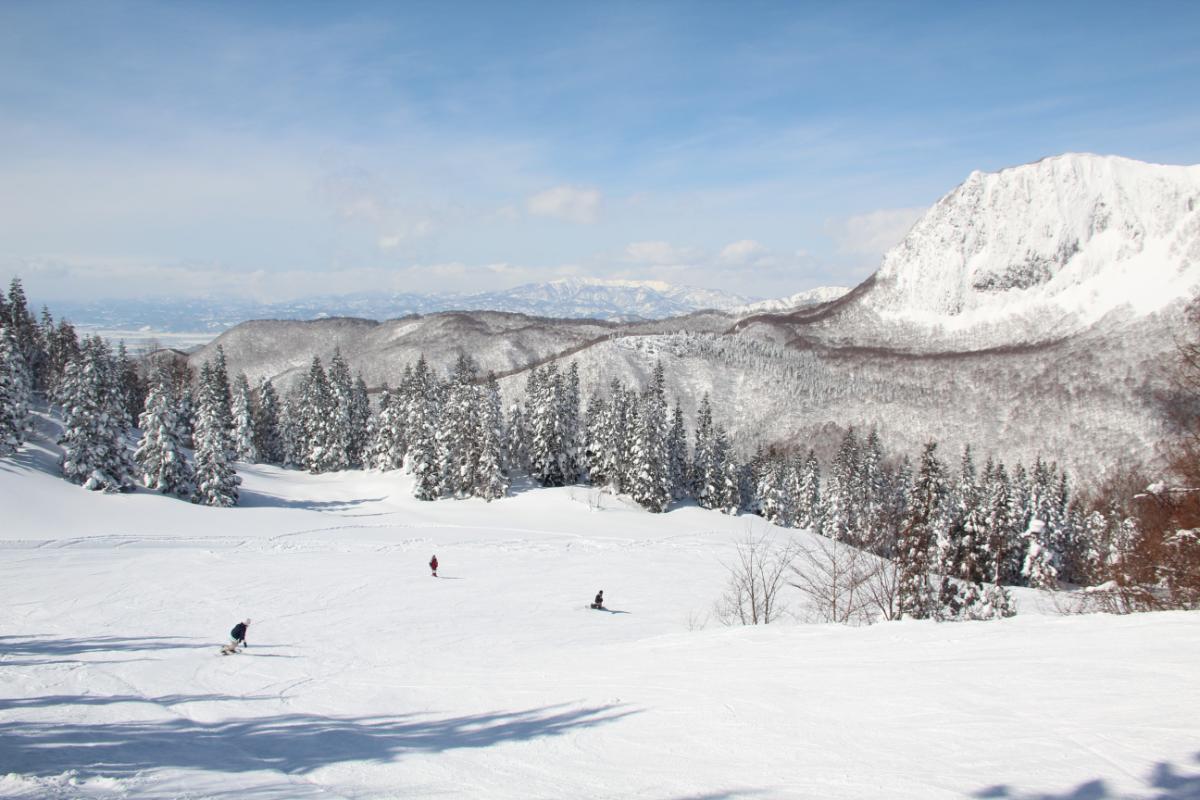 スノーボーダーから支持されているスキー場