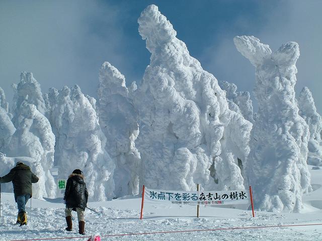 樹氷の林間コース