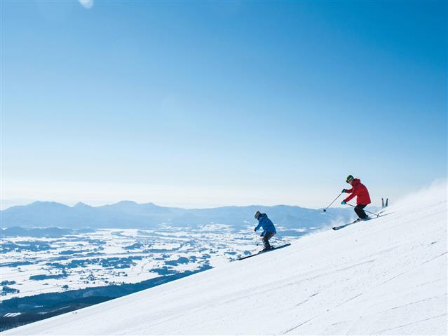 豊富なコースレイアウトで楽しめる