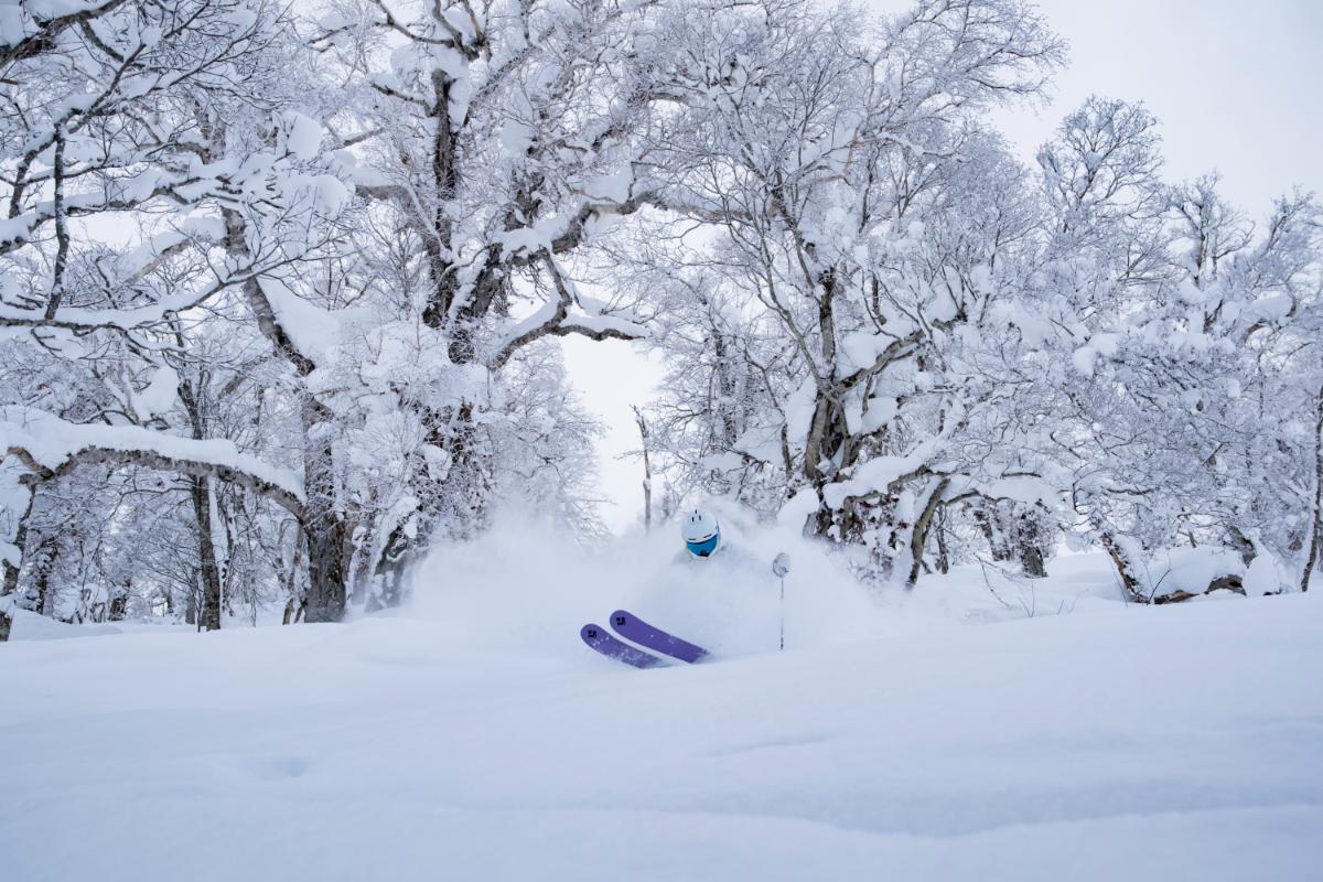 バラエティに富んだたくさんのコースがある