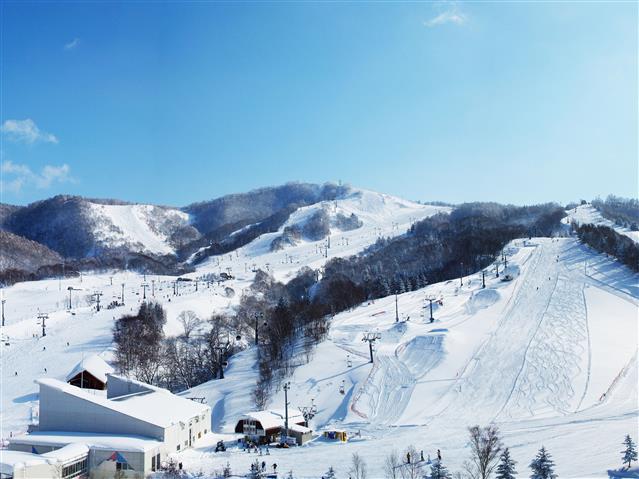 開放的で気持ちのいいゲレンデ