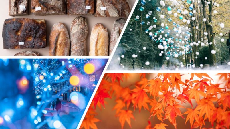 【首都圏】今週末したいことリスト｜イベント、アフタヌーンティー、期間限定スイーツ… 11月15日（土）・16日（日）