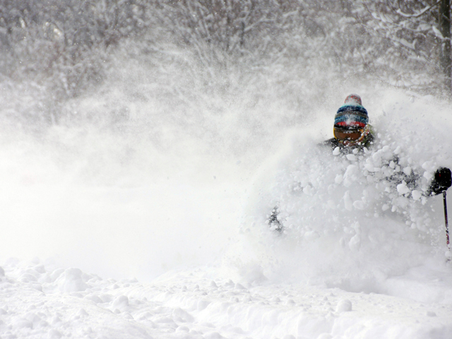 緩斜面から上級者向けの急斜面コースもある
