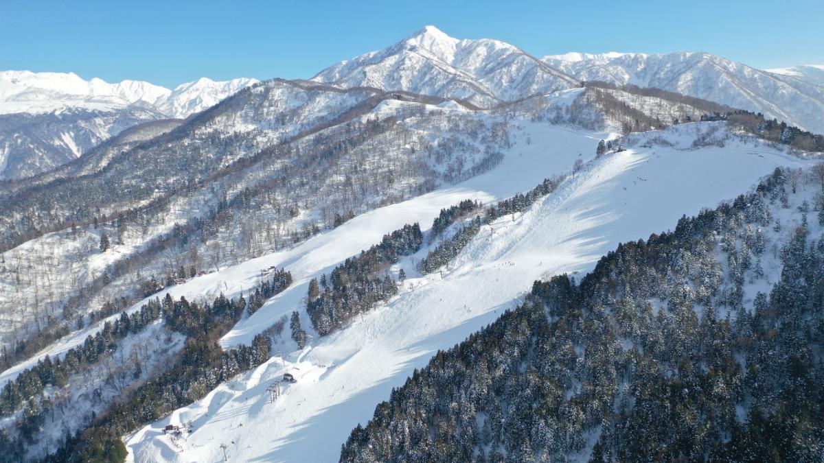 雪質がよく、バラエティに富んだコースがたくさん