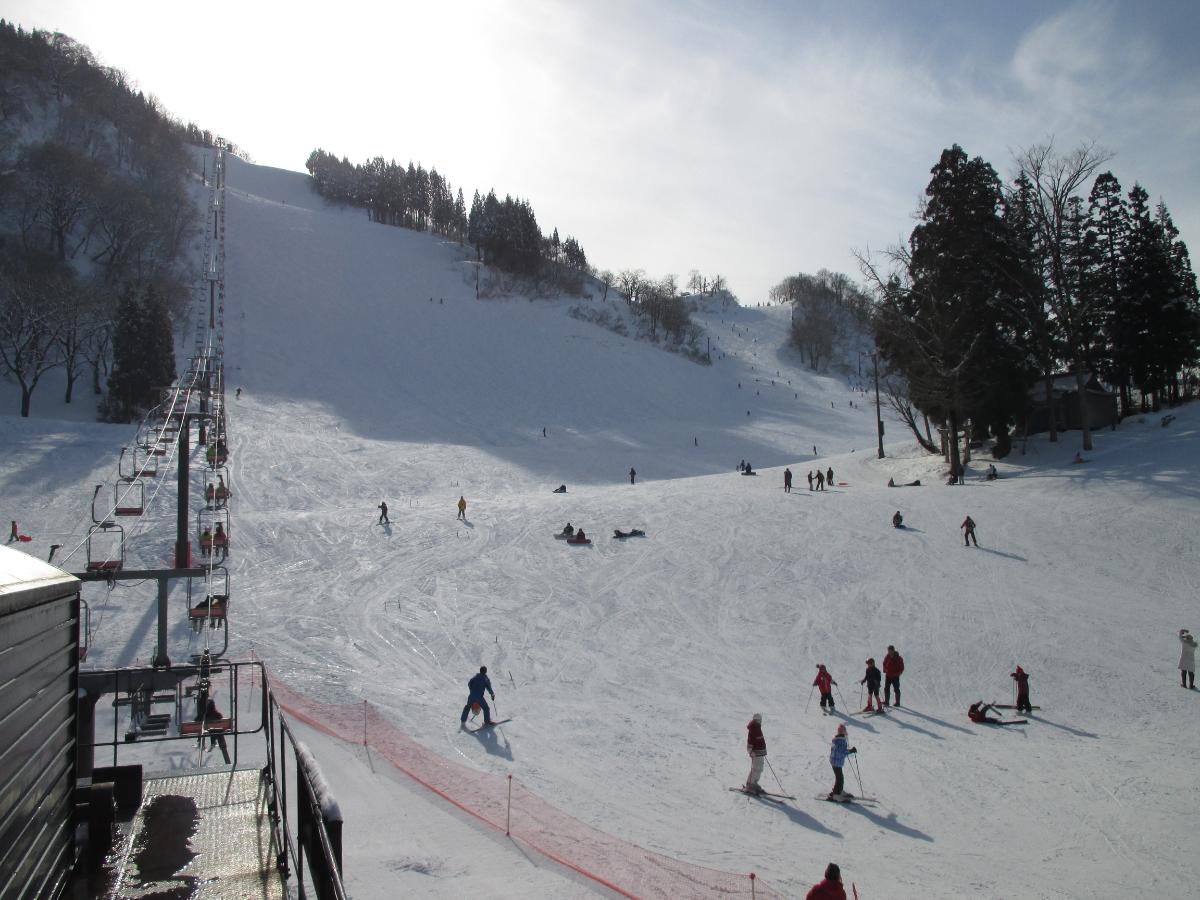 中級者以上のコースが中心