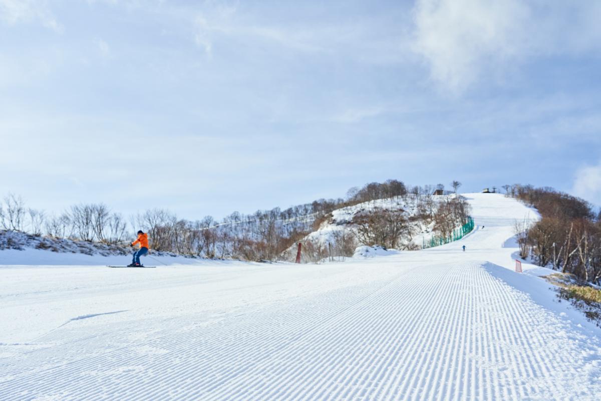 バリエーション豊かなコースがある