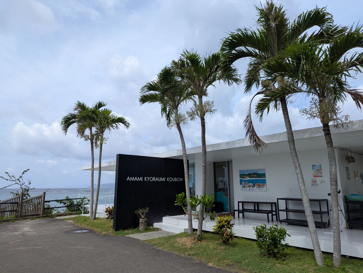 店先に並ぶヤシの木。建物の入り口にはスロープも設置されている。