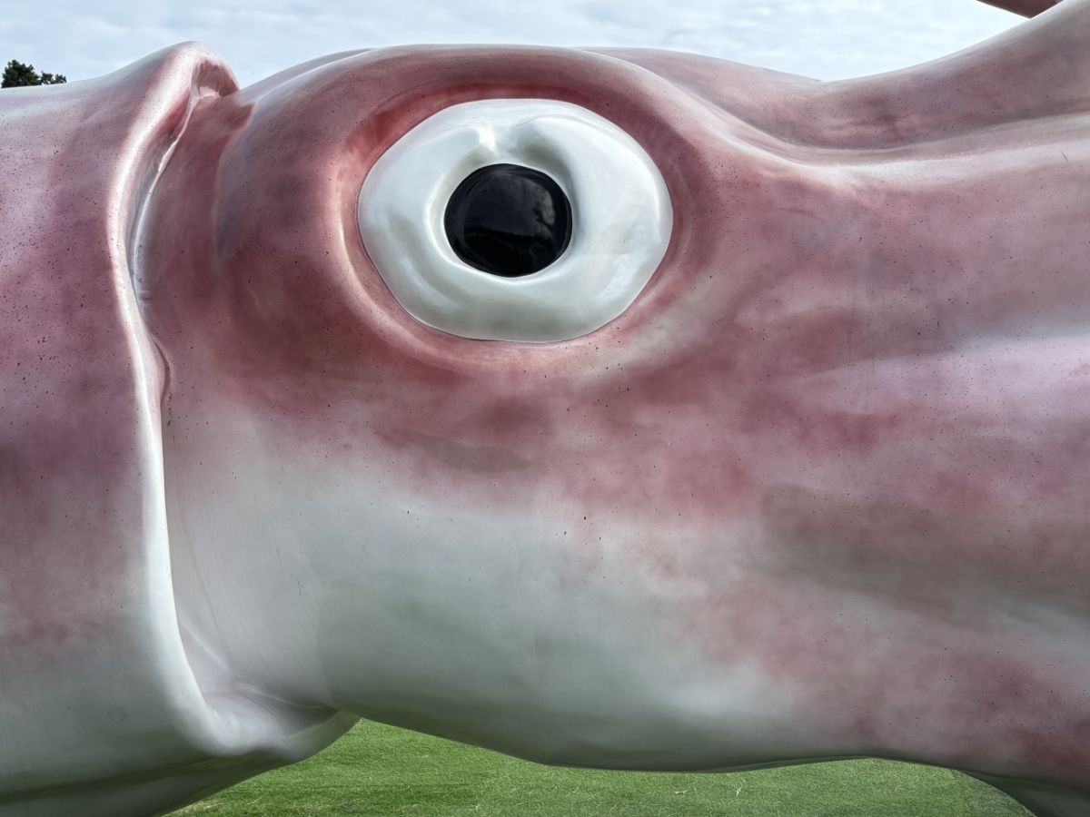 スルメイカのリアルな質感を再現したイカキングの造形