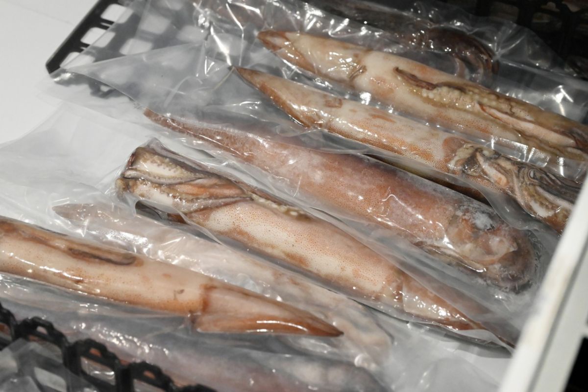船の上で１パイずつ急速冷凍した「船凍イカ」の販売も