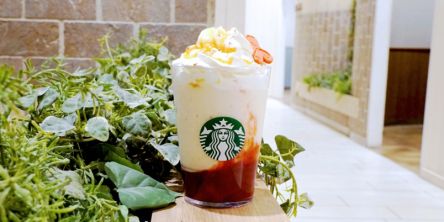 スタバ新作まとめ【2025年11月】｜販売期間やおすすめカスタムも紹介！