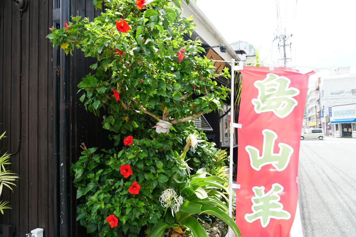 店の入り口のそばに咲くハイビスカス