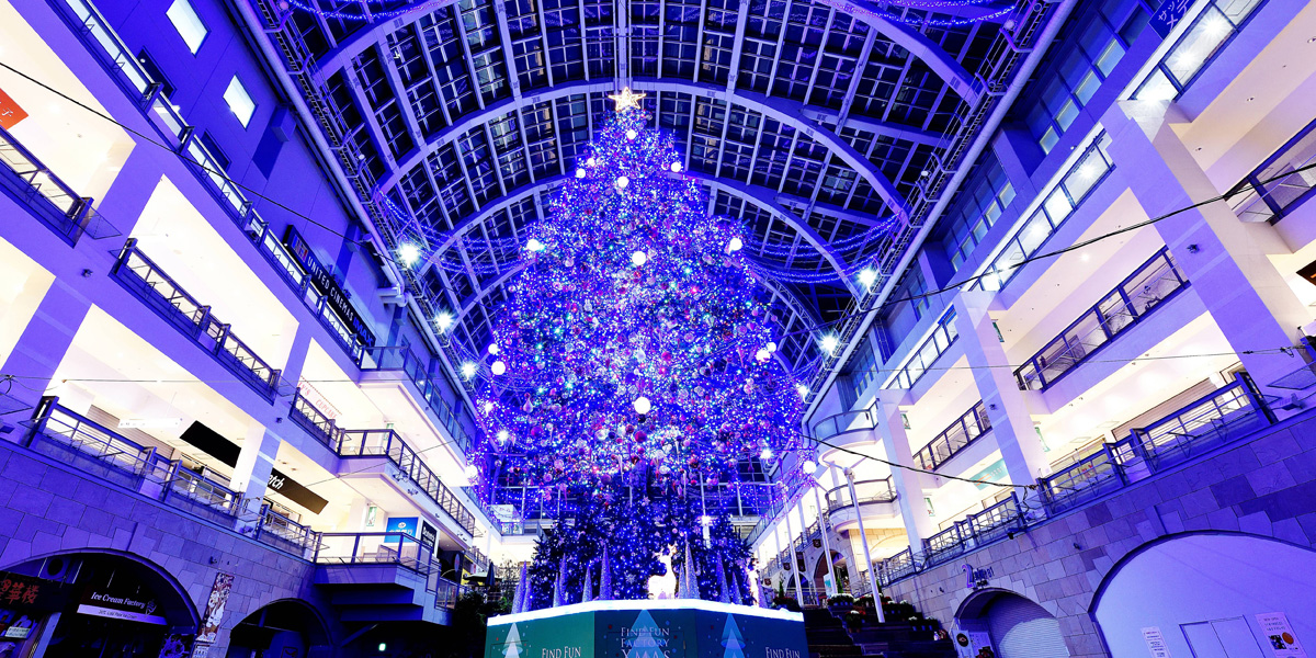 札幌のおすすめイルミネーション（2025-2026）クリスマスや冬デートに！