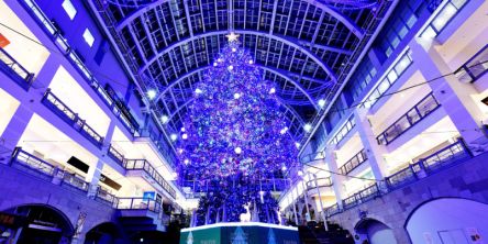 札幌のおすすめイルミネーション（2025-2026）クリスマスや冬デートに！
