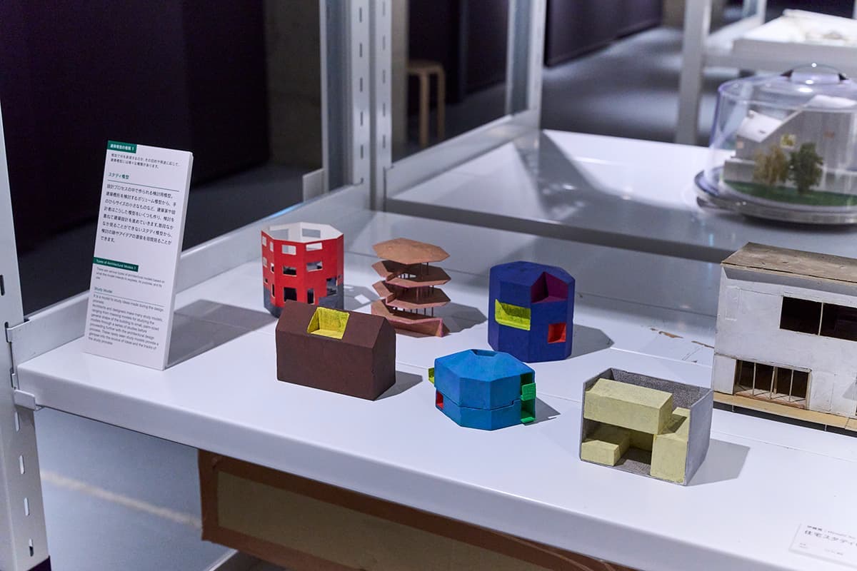 1/100の縮尺。丁寧に着色されている