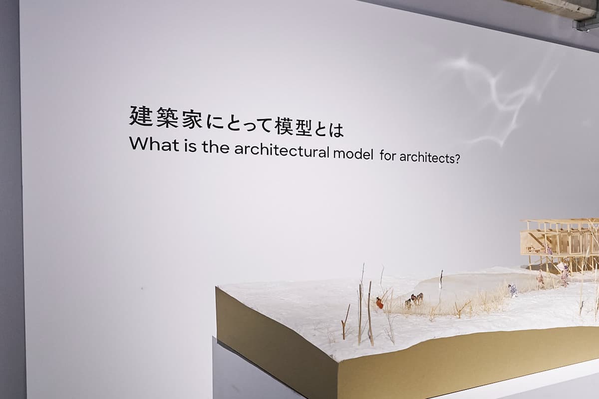 新エリアの入り口