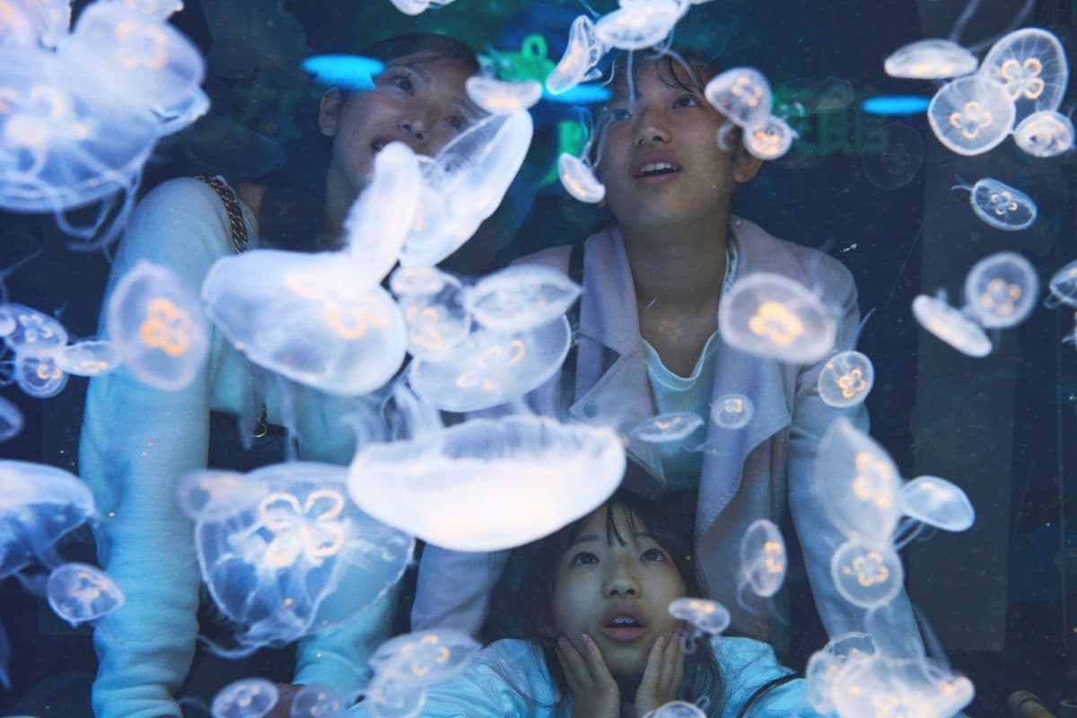 しながわ水族館