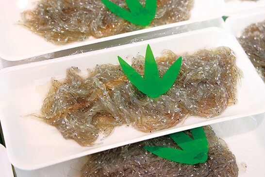 魚の店新屋「地物の生シラス」3パック1000