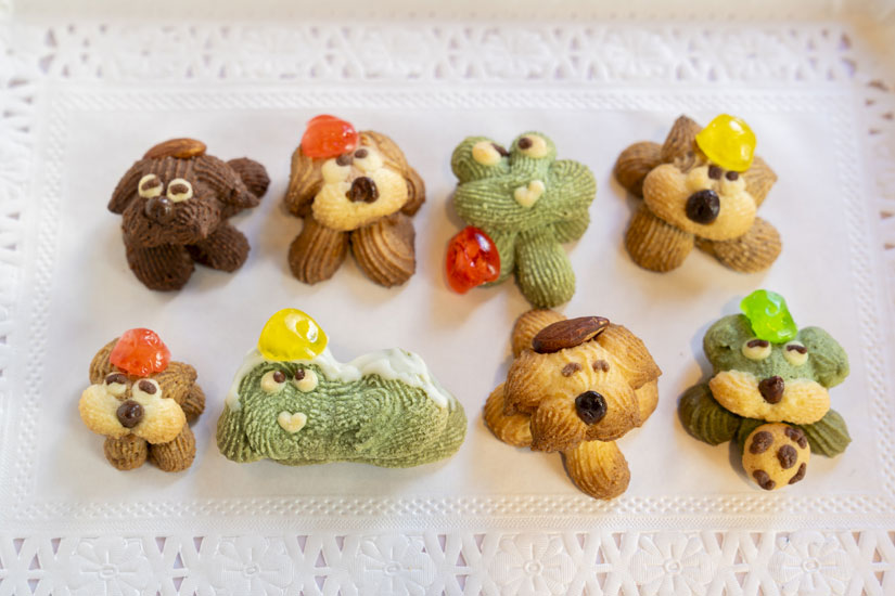 どの子に会えるかはその時次第。まさに一期一会です