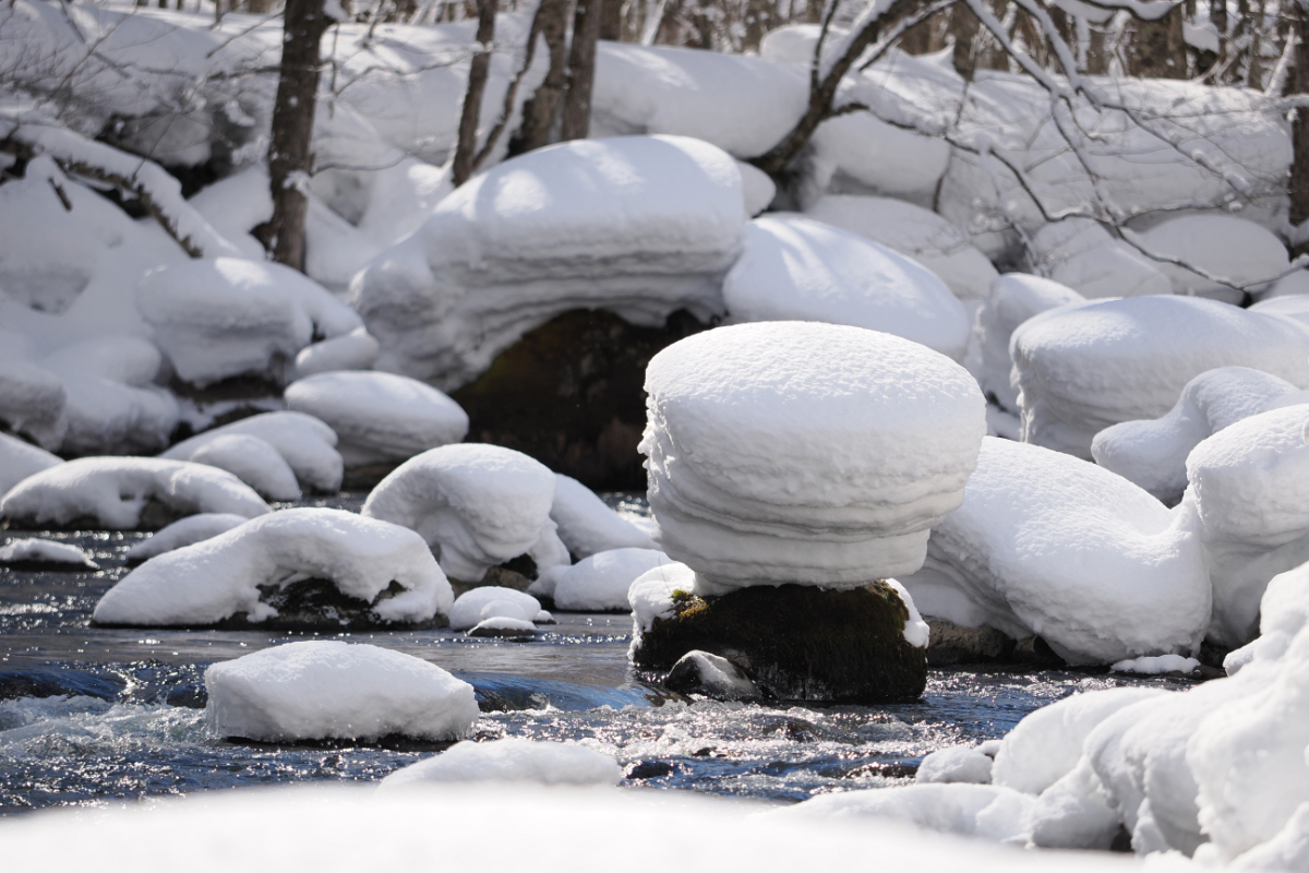 奥入瀬渓流の冬に見られる風物詩「雪の綿帽子」