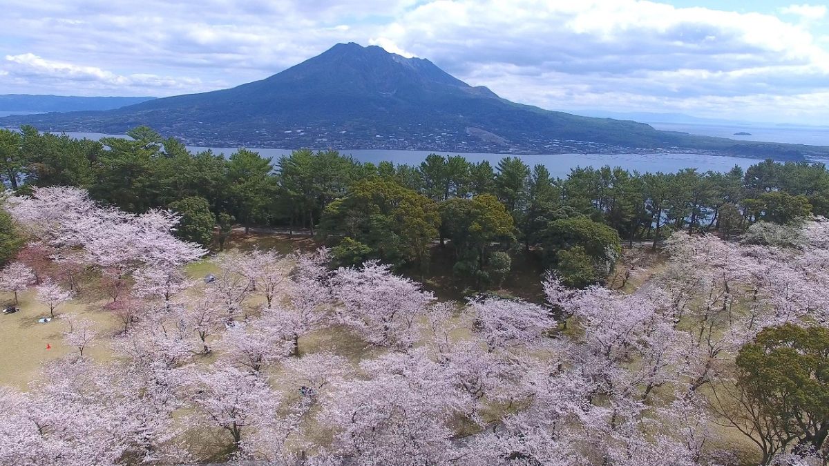 吉野公園 園内 1