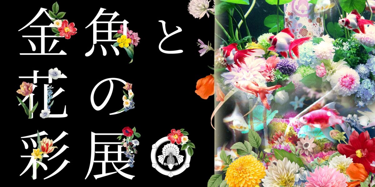 【アートアクアリウム美術館 GINZA】“花と金魚の共演”で冬に華やかさを添える「Flower Aquarium Gala ～金魚と花の彩展～」